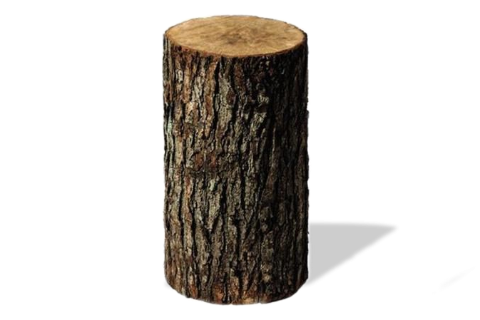 Brennholz